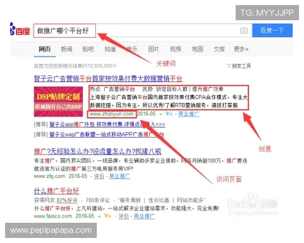 凯发网网站会员注册流程图详细介绍及常见问题解决方案