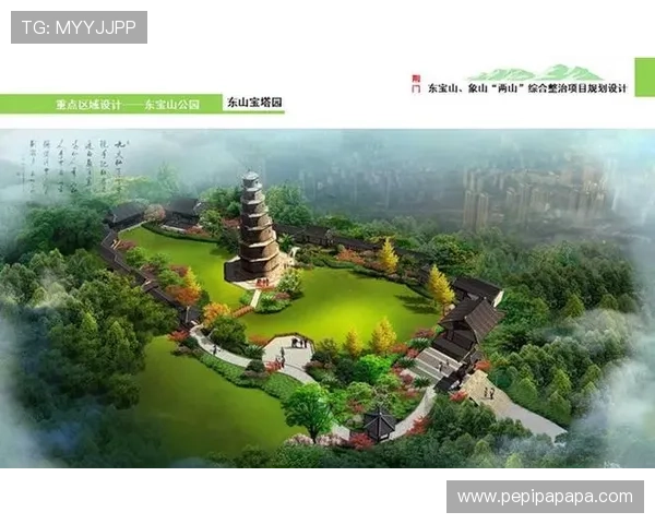 K8凯发线上网址下载安装包，详细介绍不同版本的功能特色与使用技巧